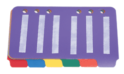 Small Tabbed Insert Pages Set of 6